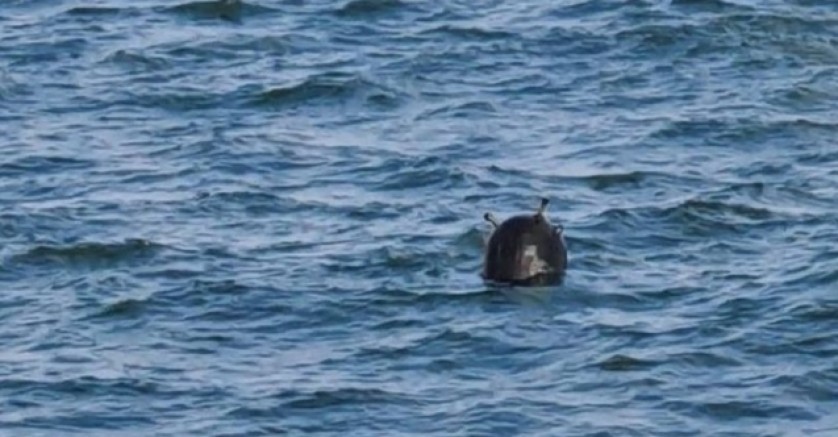 Karadeniz kıyısında balık avı yasaklandı