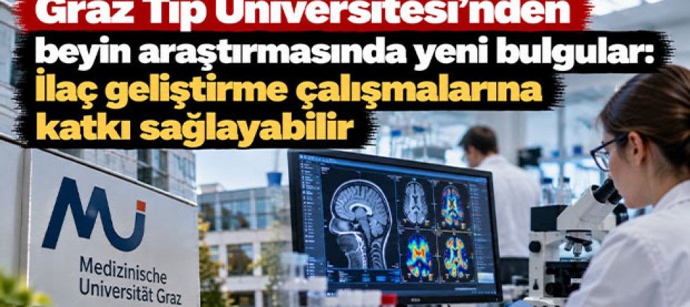 Graz Tıp Üniversitesi'nden beyin araştırmasında yeni bulgular: İlaç geliştirme çalışmalarına katkı sağlayabilir