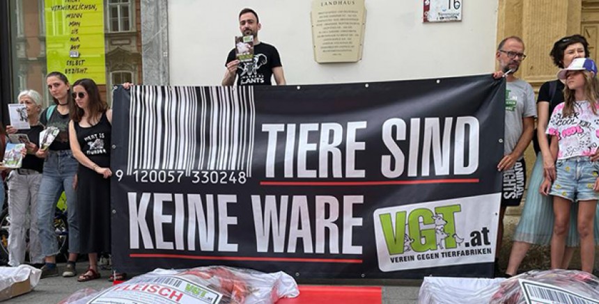 Market veya kasaplarda et alırken tekrar düşünün diyor, VGT (VİDEO)