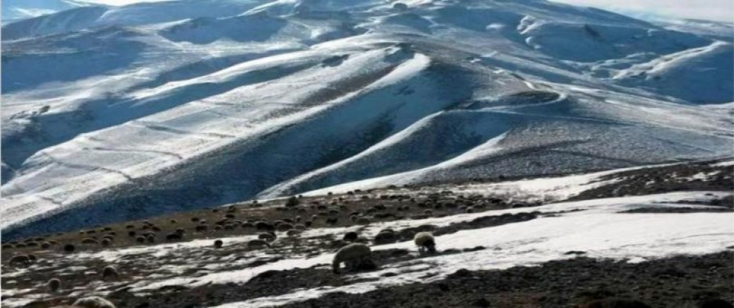 Mayıs’ta yağan kar Erzincan'da bir çobanın donmasına neden oldu 