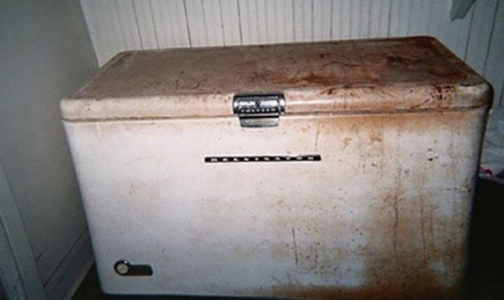 Ölen Annesinin bedenini derin dondurucuda sakladı