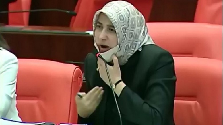 Özlem Zengin: Türkiye’de AK Parti gelene kadar 'kadın' kelimesinin adı yoktu