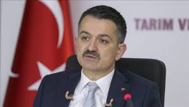Pakdemirli: Yangın kontrol altına alındı