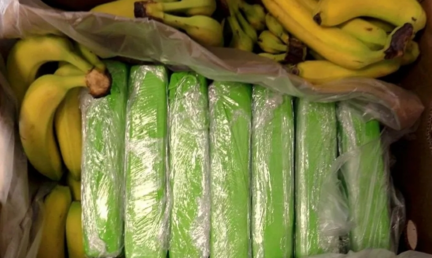 Polonya'da muz kolilerine gizlenmiş 160 kilogram kokain yakalandı 