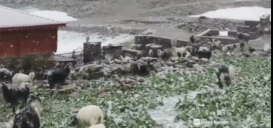 Rize Yaylalarına Haziran Sonunda Kar Yağdı (VİDEO)