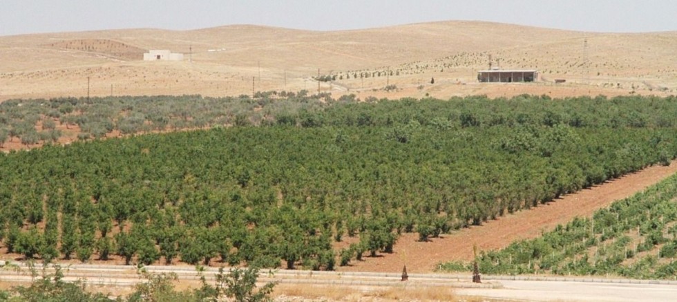 Şanlıurfa'da orman alanlarına girişler yasaklandı