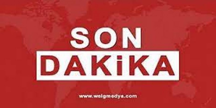 Şanlıurfa’da ormanlık alanda yangın: 1 gözaltı