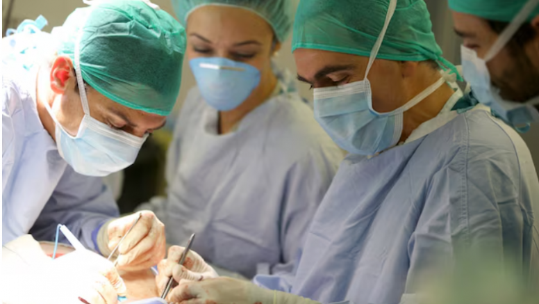 Sosyal Yardım Alıp Estetik Ameliyat Yaptırdı: Avusturya’da BKA Dolandırıcılık Çetesinin Peşinde