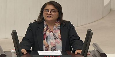 38 Bellek Duvarı’nın Kaldırılması Meclis Gündemine Taşındı