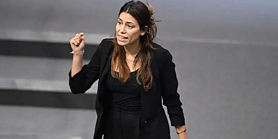 AfD’nin Irkçı Söylemine Karşı Çıktı: Cansın Köktürk’e 2 Bin Euro Ceza