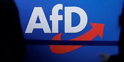 AfD'nin Yükselişi Almanya'da Göç Planlarını Artırıyor