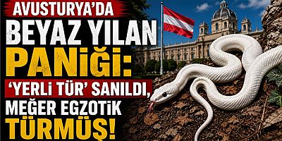 Avusturya’da Beyaz Yılan Paniği: “Yerli Tür” Sanıldı, Meğer Egzotik Türmüş