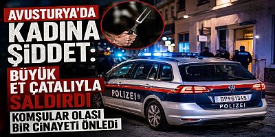Avusturya'da Kadına Şiddet: Büyük Et Çatalıyla Saldırdı, Komşular Olası Bir Cinayeti Önledi