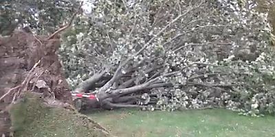 Avusturya Sel ve Fırtına Felaketiyle Karşı Karşıya: Aşağı Avusturya'da Felaket Bölgesi İlan Edildi