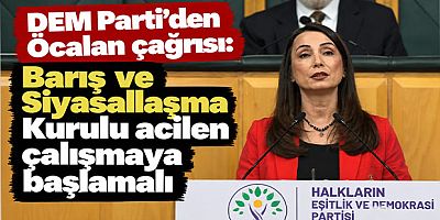 DEM Parti'den Öcalan çağrısı: Barış ve Siyasallaşma Kurulu acilen çalışmaya başlamalı