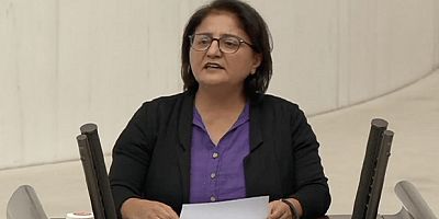 DEM Parti Dersim Milletvekili Ayten Kordu: “Cezaevlerindeki İnsanlık Dışı Uygulamalar Son Bulmalı”