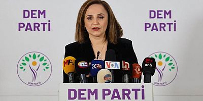 DEM Parti Sözcüsü Ayşegül Doğan: 