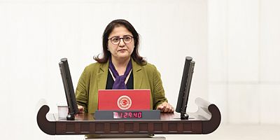 Dersim Milletvekili Ayten Kordu’dan Don Felaketi Sonrası Dut Üreticileri İçin Meclis Soru Önergesi