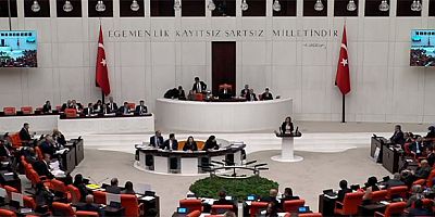 Dünya Anadilinde Konuşan Vekillere 'Türkçe Konuş' Uyarısı: MHP'li Başkan Vekili Mikrofonu Kapattı