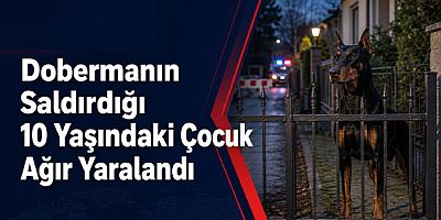 Fürstenfeld’de Dobermanın Saldırdığı 10 Yaşındaki Çocuk Ağır Yaralandı