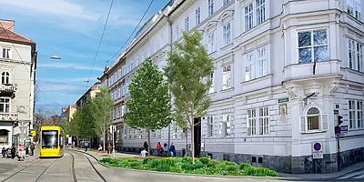 Graz'da Maiffredygasse ve Leonhardstraße Yenileniyor: Yeşil Alanlar ve Trafik Düzenlemeleri Yolda!