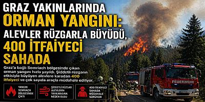 Graz Yakınlarında Orman Yangını: Alevler Rüzgarla Büyüdü, 400 İtfaiyeci Sahada