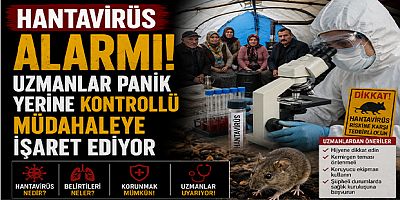 Hantavirüs Alarmı: Uzmanlar Panik Yerine Kontrollü Müdahaleye İşaret Ediyor