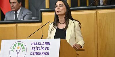Hatimoğulları: 