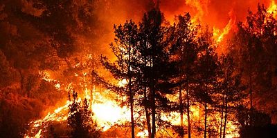 İzmir, Aydın, Balıkesir, Karaman, Kahramanmaraş ve Bursa'da Orman Yangınları