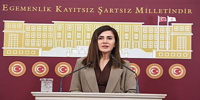 'Kadın Sünneti' İddiası Meclis Gündeminde: Sağlık Bakanı'na 8 Soruluk Önerge