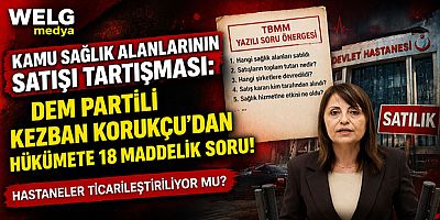 Kamu Sağlık Alanlarının Satışı Tartışması: DEM Partili Kezban Korukçu’dan Hükümete 18 Maddelik Soru