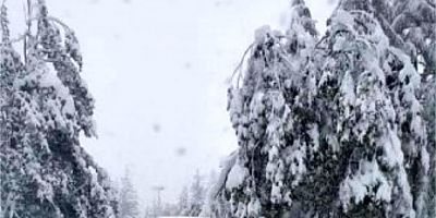 Kar kalınlığı Avusturya İsviçre sınırında 25 santimetreye ulaştı