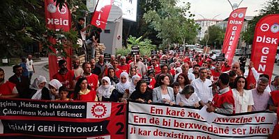 Kayyımın İşten Çıkardığı 223 İşçinin Direnişi Bir Yılı Geride Bıraktı