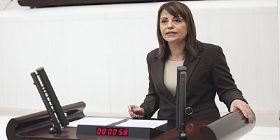 Lüks Villaları Yapan İşçiler Ücretlerini Alamıyor: 70 İşçinin Direnişi Meclis Gündeminde