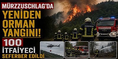Mürzzuschlag’da Yeniden Orman Yangını: 100 İtfaiyeci Seferber Edildi