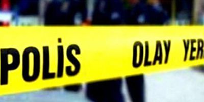 Ordu'da Yer Kavgası Katliamı: Ağabeyi, Yengesi ve Yeğenini Öldürdü