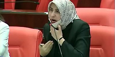 Özlem Zengin: Türkiye’de AK Parti gelene kadar 'kadın' kelimesinin adı yoktu