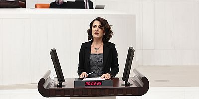 Rojin Kabaiş Dosyasında Meclis’e Araştırma Önergesi: “Zincirleme İhmal, Bilgi Gizleme ve Cinsiyetçi Adalet”