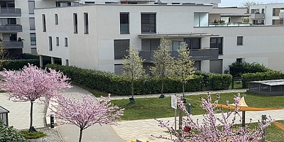 Steiermark’ta Konut Desteğinde Yeni Dönem: Daha Sıkı Kurallar, Almanca Şartı