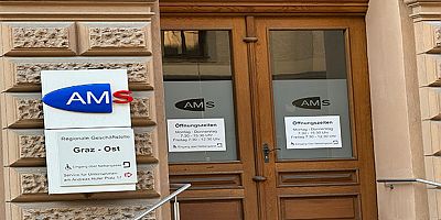 Steiermarklı Genç Girişimci Çıkmazda: “Çok Kazanıyorsun” Denildi, AMS Desteği Kesildi