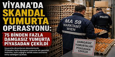 Viyana’da Skandal Yumurta Operasyonu: 75 Binden Fazla Damgasız Yumurta Piyasadan Çekildi