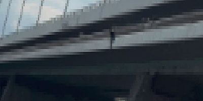 Viyana’da Tehlikeli Görüntüler: Gençler Köprüden Tuna’ya Atladı