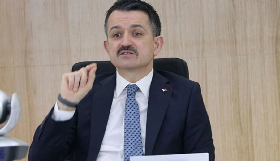 Tarım ve Orman Bakanlığı'nda 7’si aktif görevde 9 bürokrat hakkında FETÖ gözaltısı