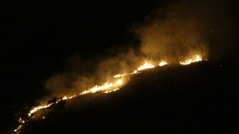 Trabzon’da örtü yangını