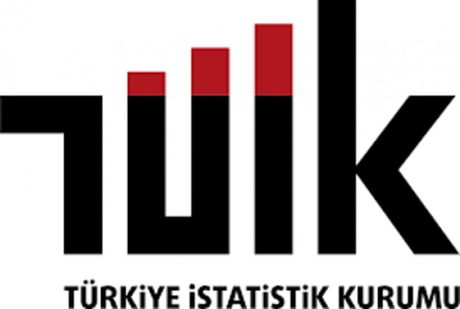TÜİK Ücretli Çalışan İstatistiklerini açıkladı
