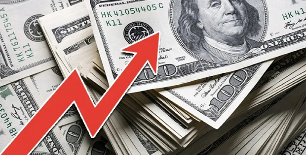 Türk Lirası bir güne yüzde 7 değer kaybetti