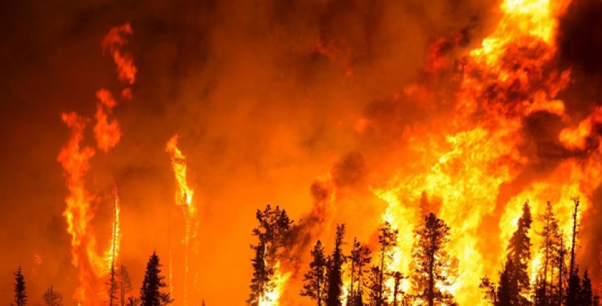 Türkiye’de birçok ilde çıkan orman yangınları devam ediyor