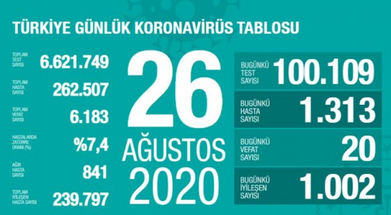 Türkiye'de koronavirüs nedeniyle son 24 saatte 20 kişi hayatını kaybetti, bin 313 kişiye Kovid-19 tanısı konuldu