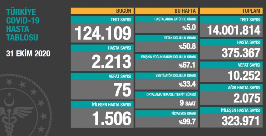Türkiye'de son 24 saatte koronavirüs nedeniyle 75 kişi yaşamını yitirdi