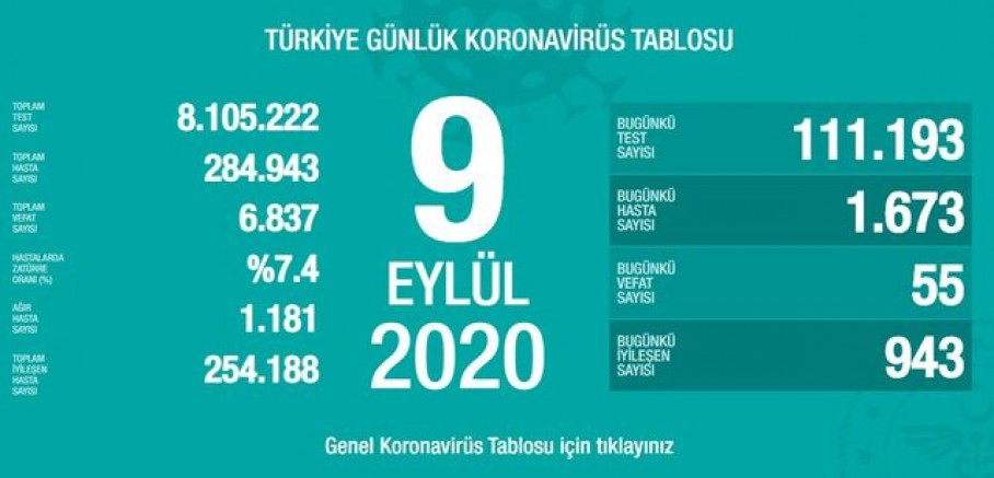 Türkiye'de son 24 saatte koronavirüsten 55 kişi hayatını kaybetti, 1.673 yeni vaka 